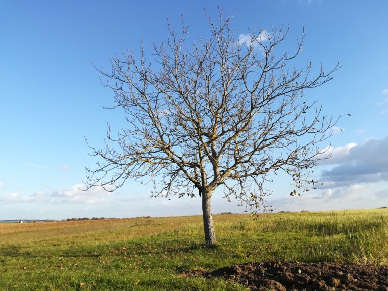 Selbstoptimierung – muss das sein?